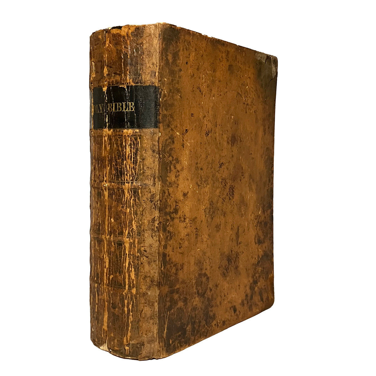 Holy Bible