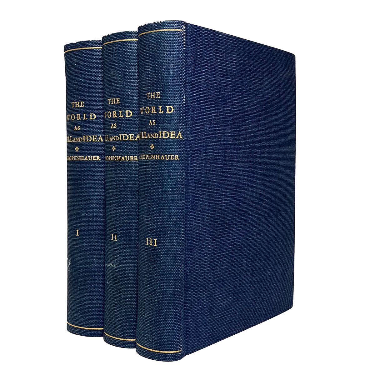 The World as Will and Idea by Schopenhauer