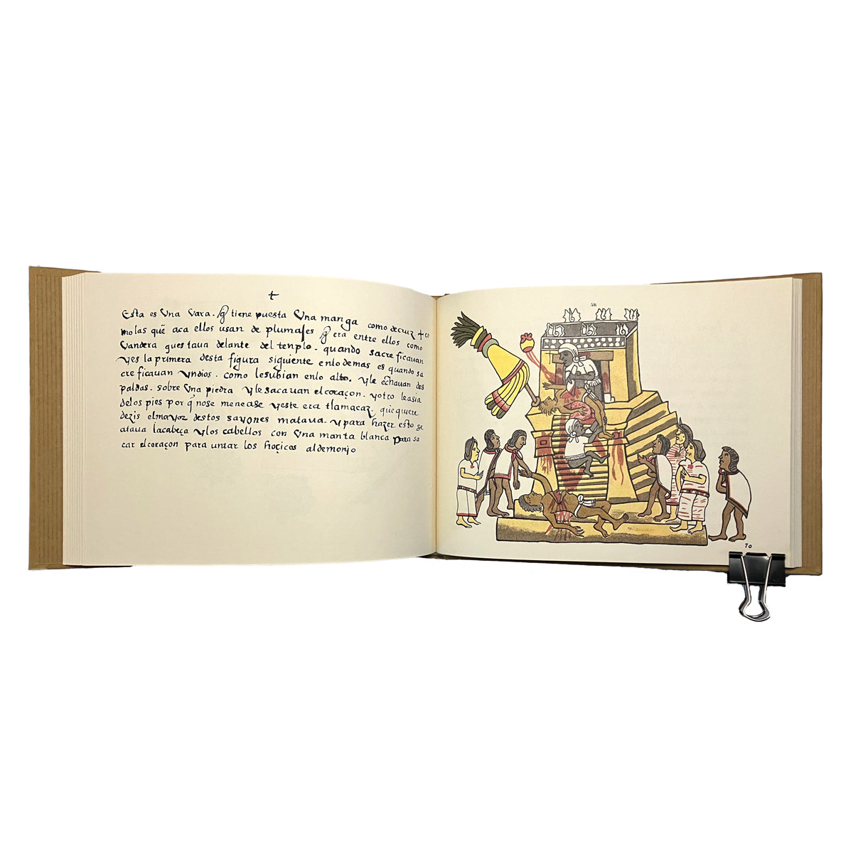 The Codex Magliabechiano and The Book of the Life of the Ancient Mexicans