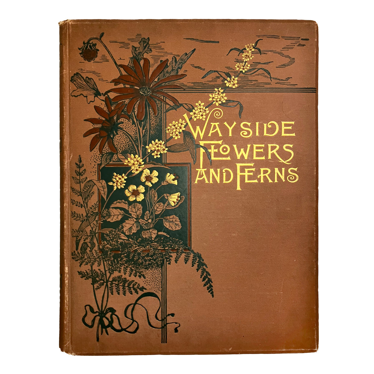 Wayside Flowers and Ferns by A. B. Hervey