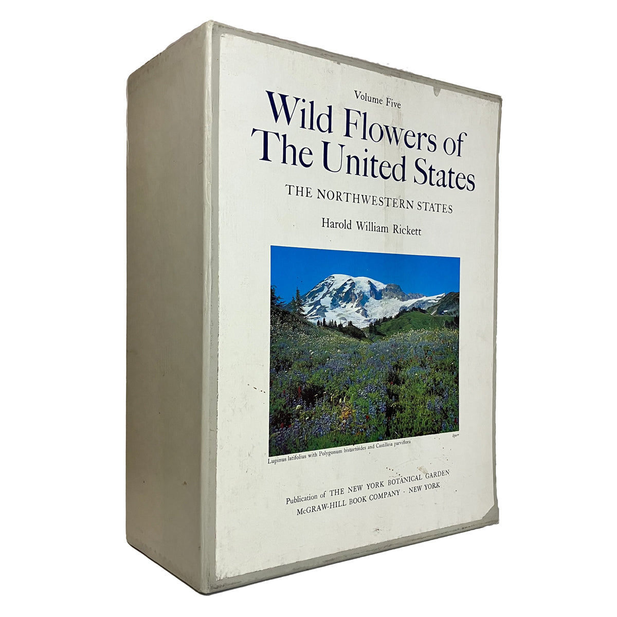 Wild Flowers of the United States: Northwestern States by Harold William Rickett